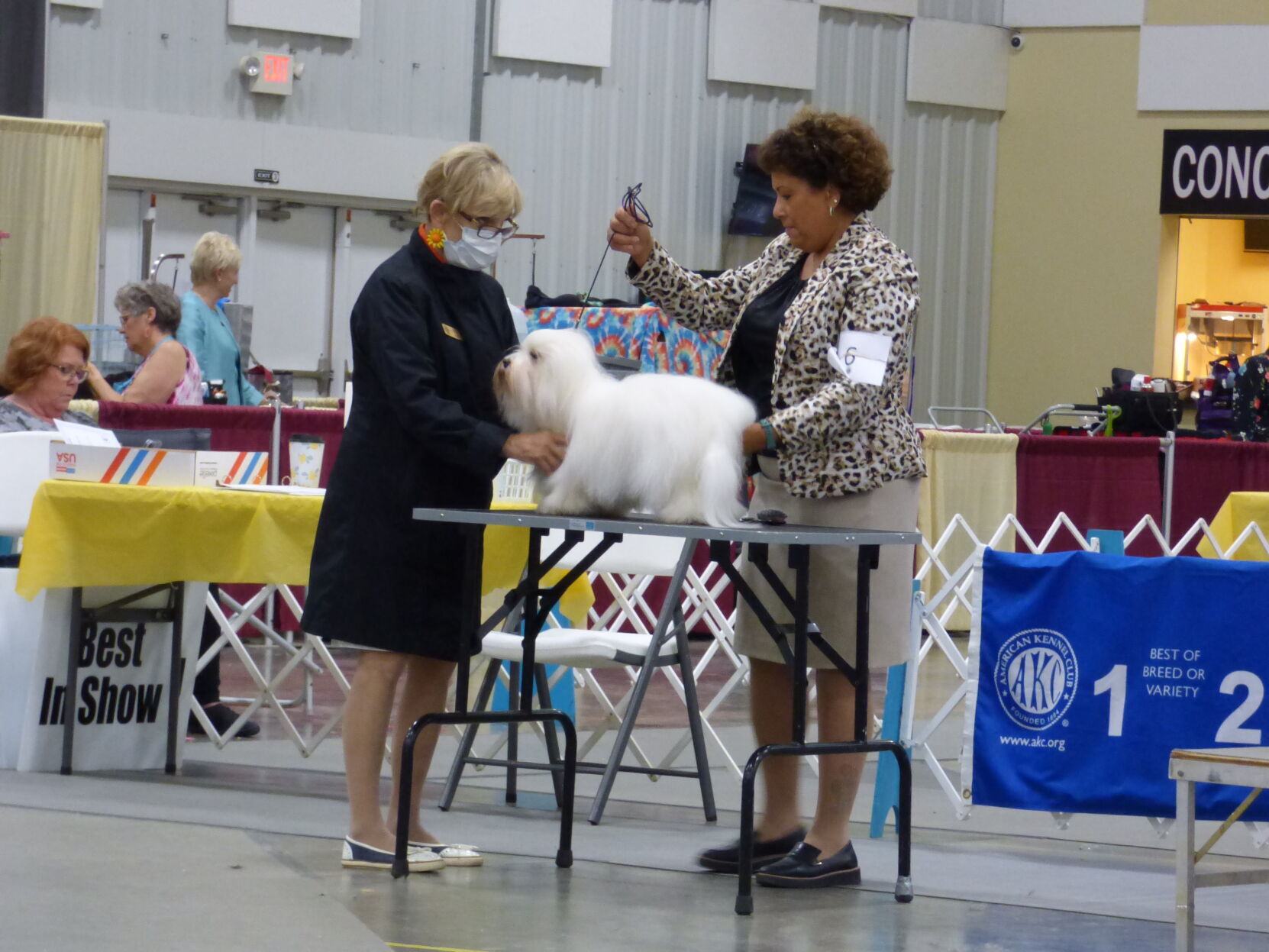 080922-nws-dog-show-natalie (1).JPG